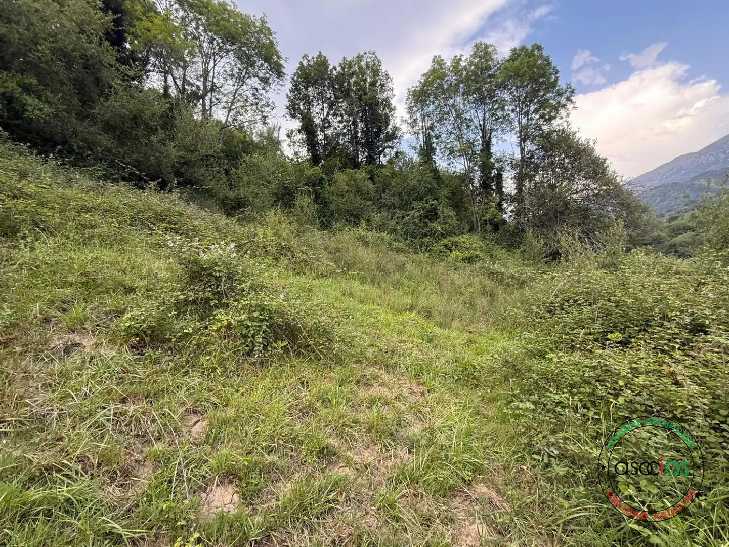 Land for sale in Quirós