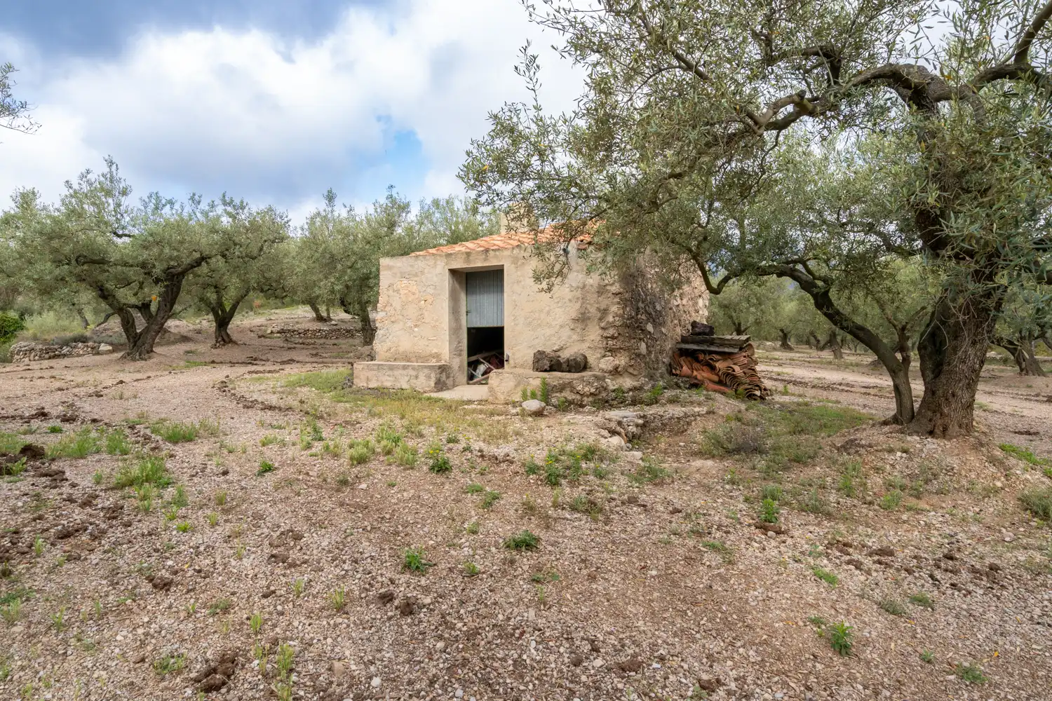 Terreno en venta en Mas de Barberans