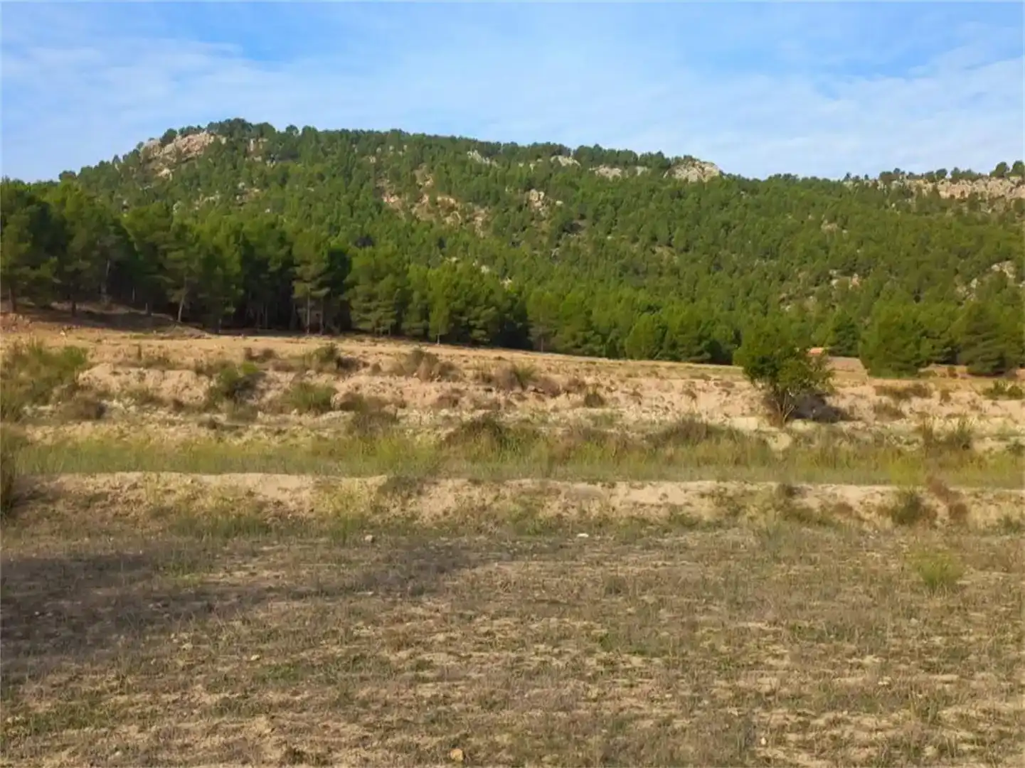 Terreno en venta en Letur