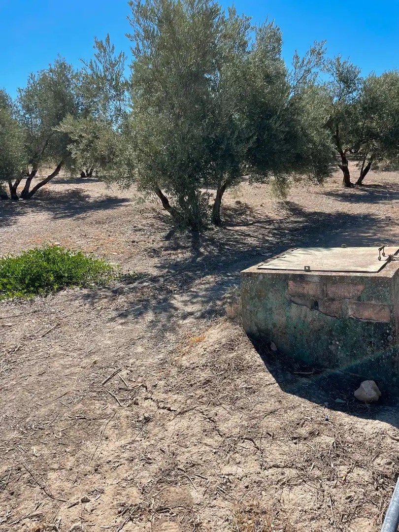 Terrenos y solares en venta en Úbeda, imagen 8
