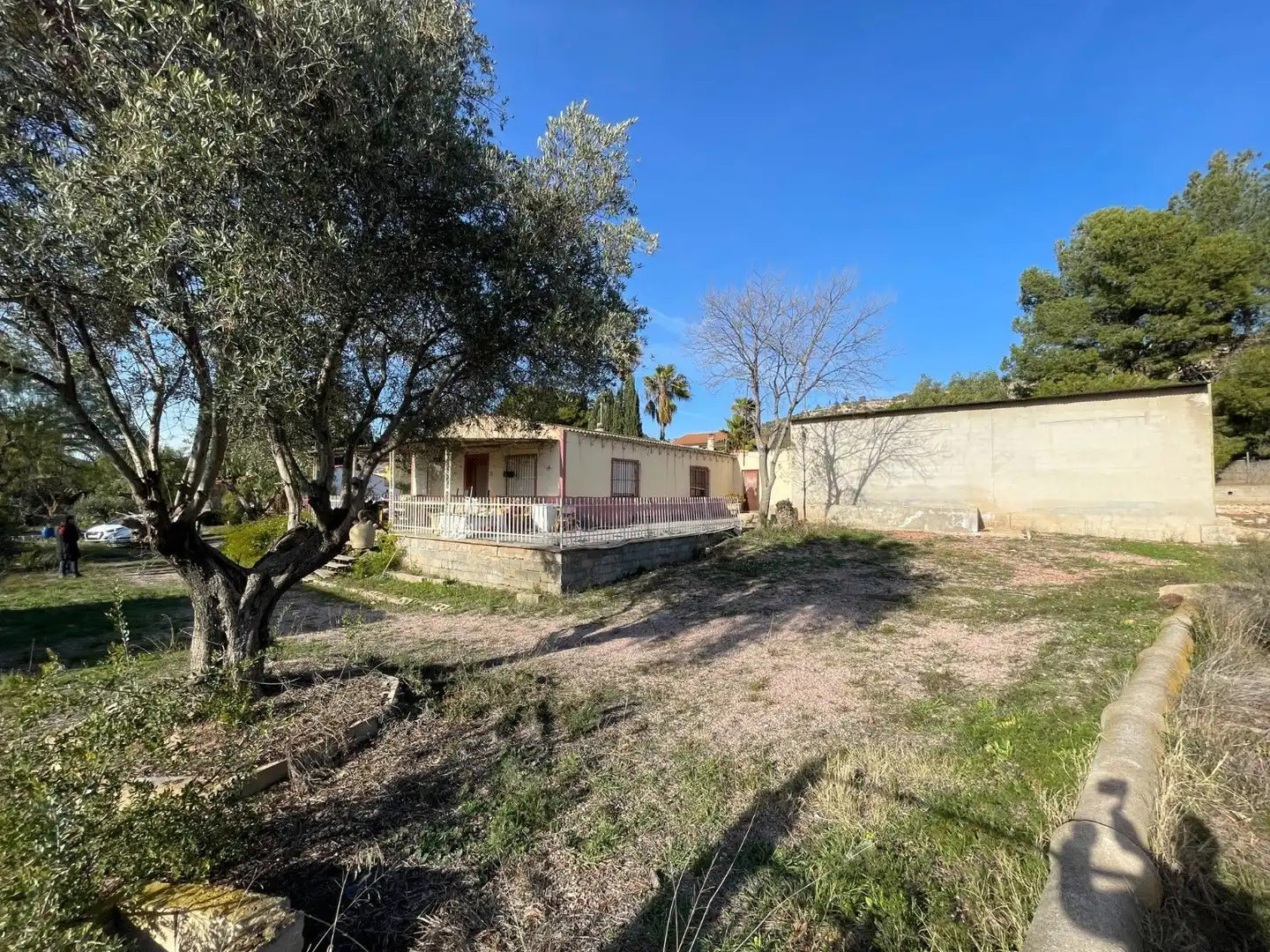 Land for sale in Aspe