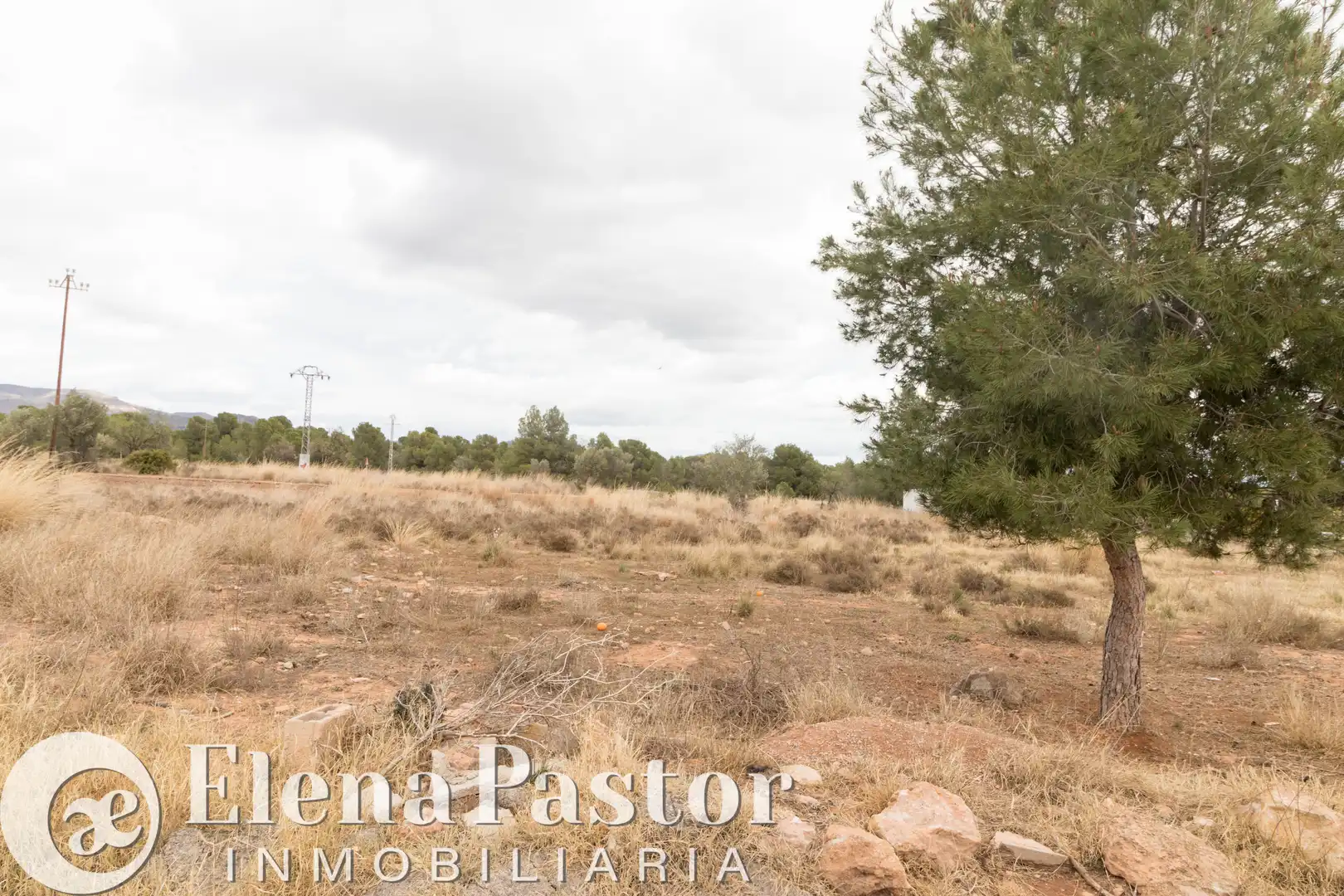 Terrain rustique à vendre à Los Pinares - La Masia
