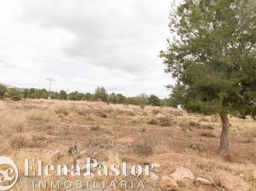 Terreno rustico in vendita a Los Pinares - La Masia