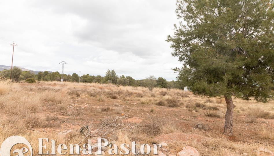 Foto 1 de Terreno en venta en Los Pinares - La Masia, Valencia