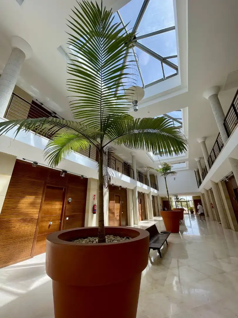 Office for sale in Marbella  with Air Conditioner and Furnished