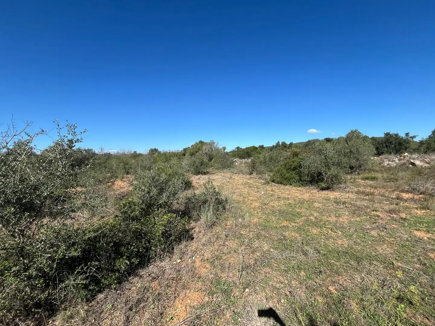 Terreno rústico en venta en Bonastre, imagen 4