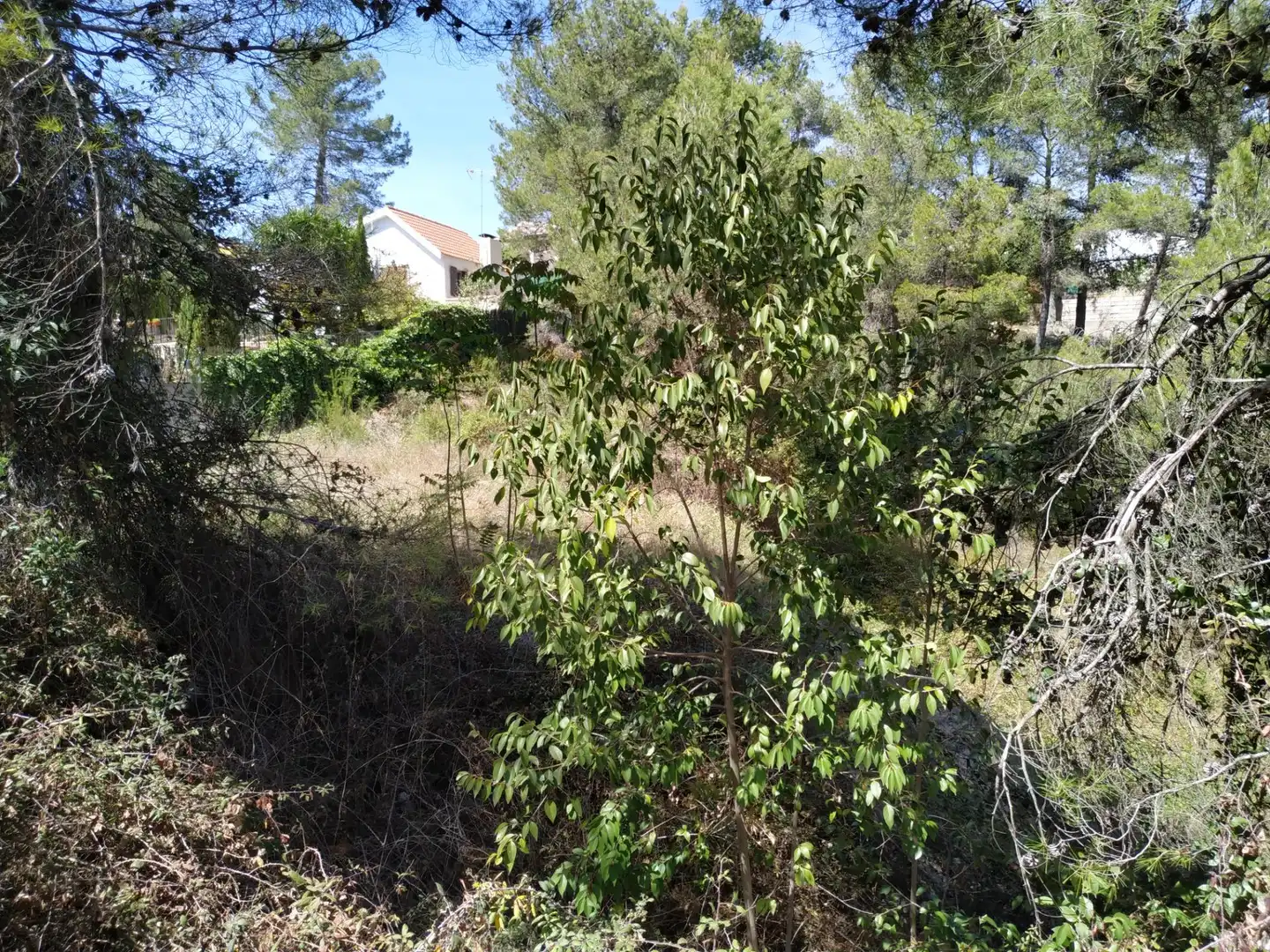 Terreno residencial en venta en Mogente / Moixent, imagen 11