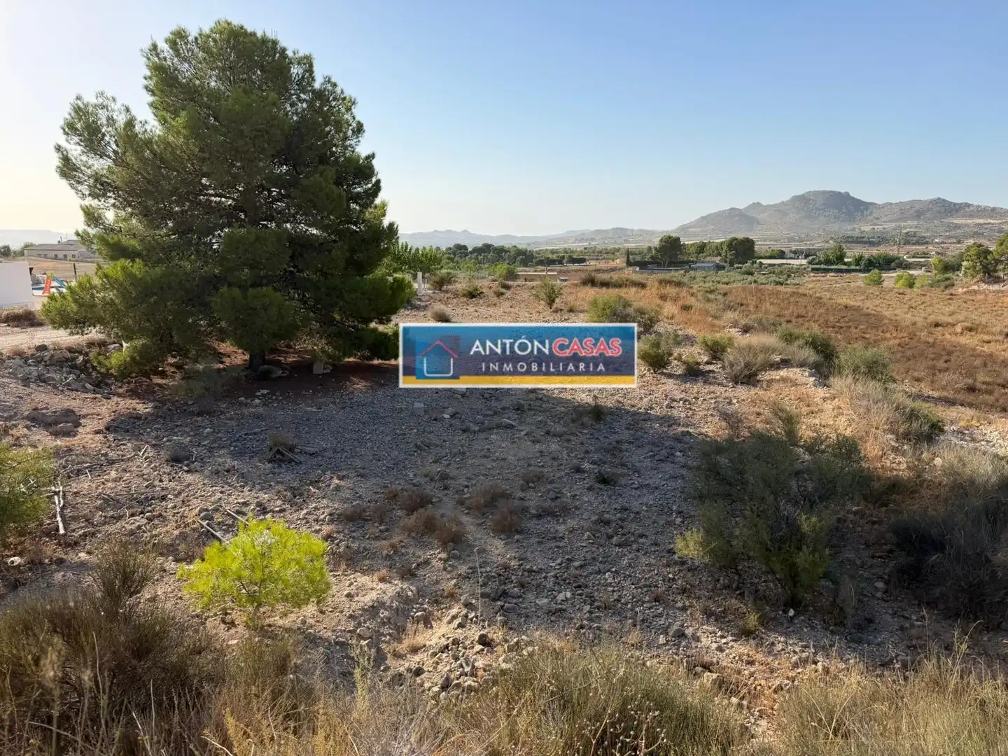 Rural land for sale in Novelda, imagen 5