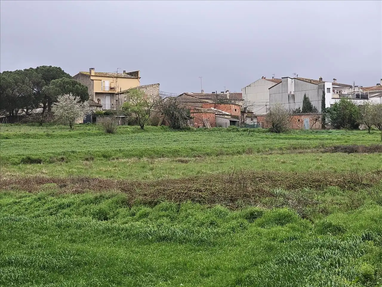 Terreny residencial en venda a El Quinta De La Casa Nova ( Cl Panedes), imagen 9