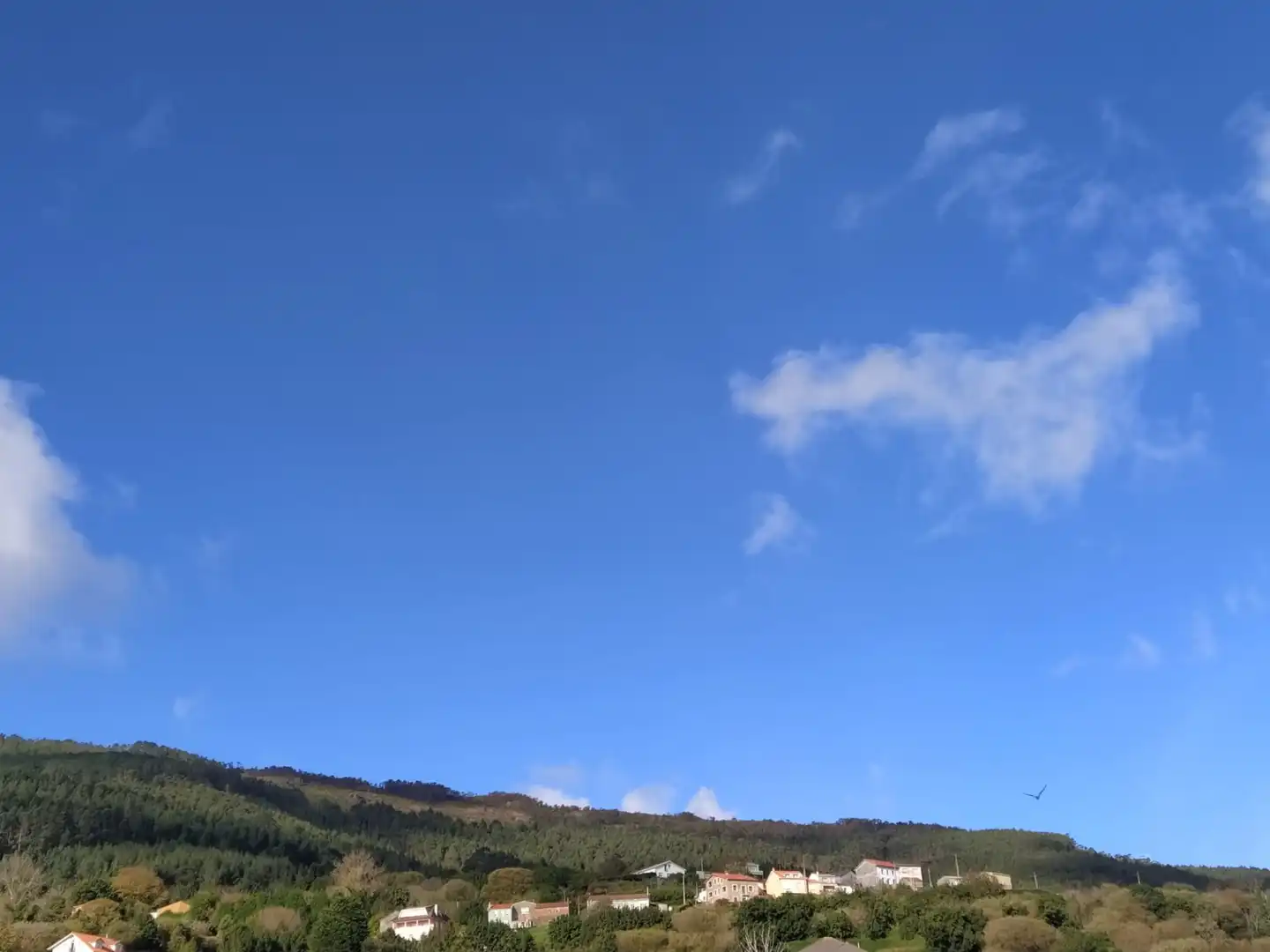 Xalet amb jardí en venda a Rúa Pérez Lugín 42, imagen 31