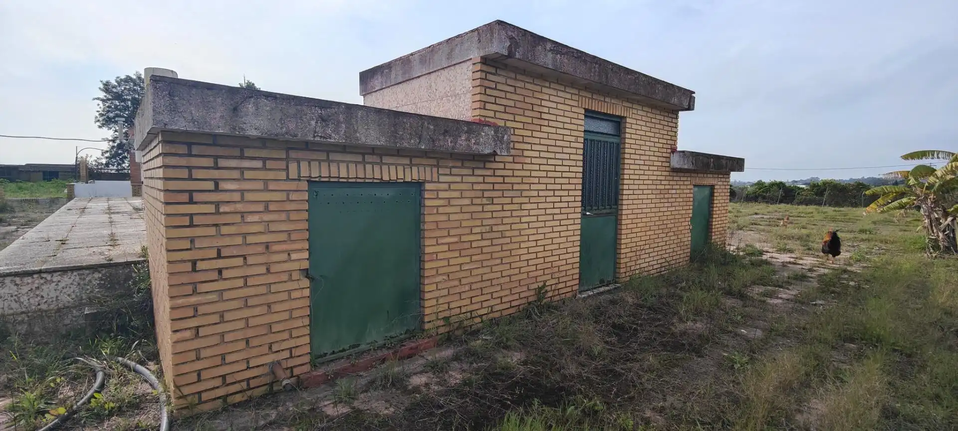 Vista exterior de Finca rústica en venda en Gibraleón amb Calefacció, Jardí privat i Terrassa