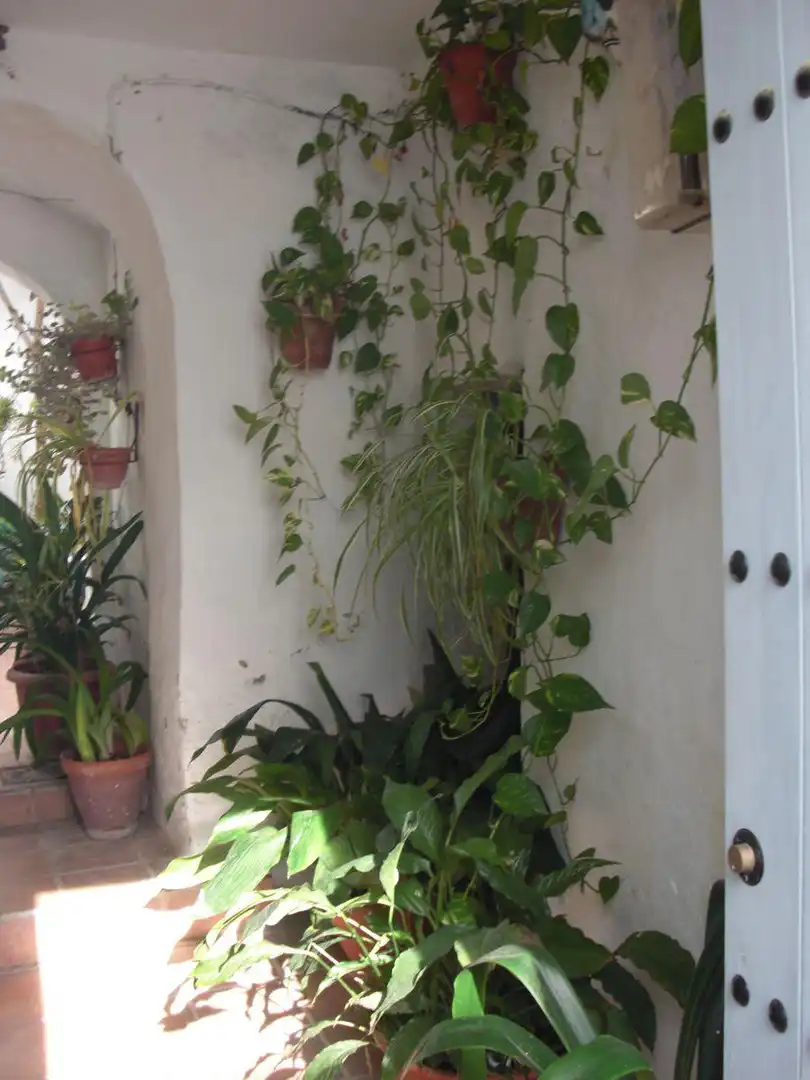 Balcony of Apartments for sale in Vejer de la Frontera  with Storage room