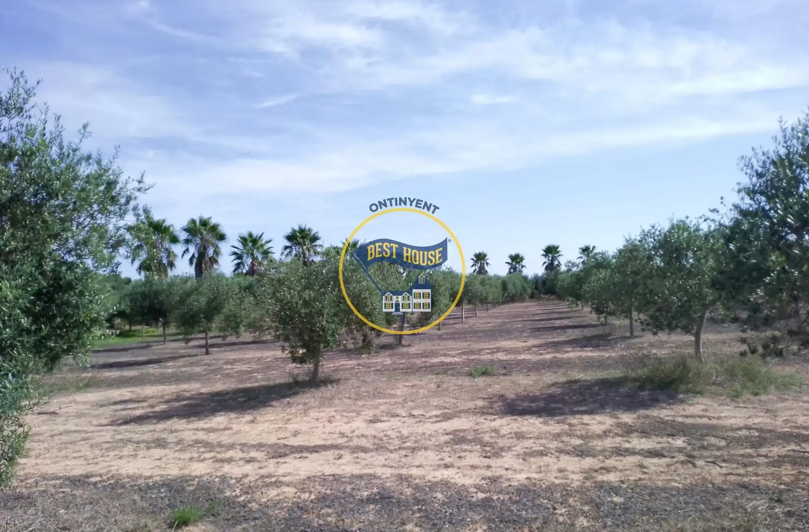 Terrenys i solars en venda a Agullent, imagen 3