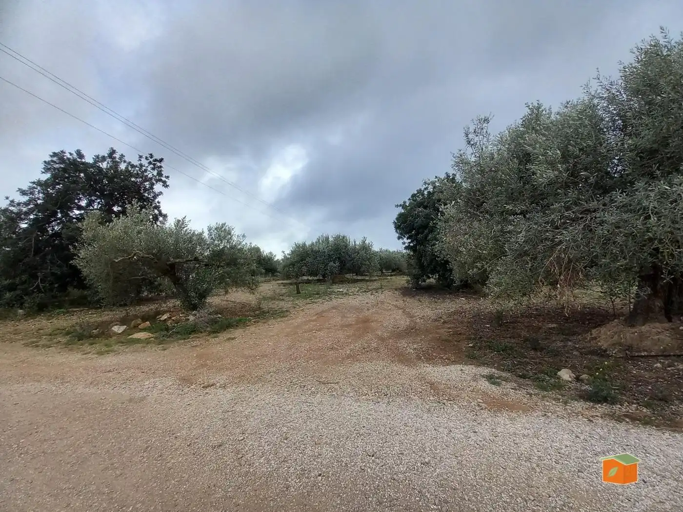 Terreno rustico in vendita a Alcanar, imagen 5