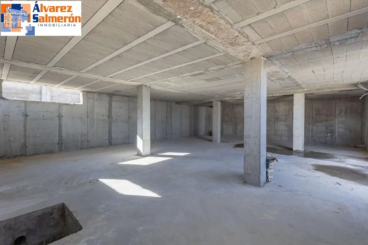 Villa con piscina in vendita a Paseo Paseo del Agua, 35, imagen 14