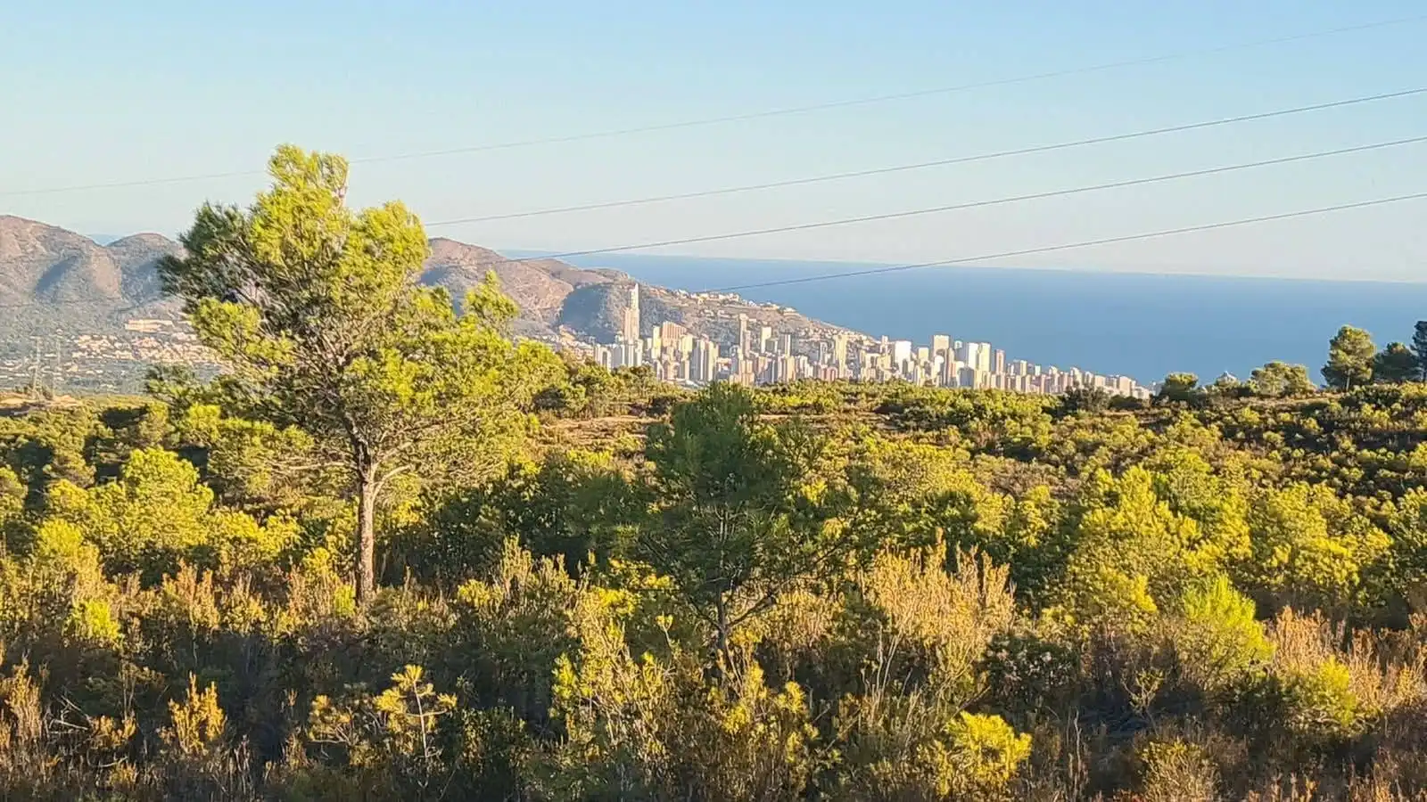 Rural land for sale in Rabasa - Los Ángeles - San Agustín, imagen 5