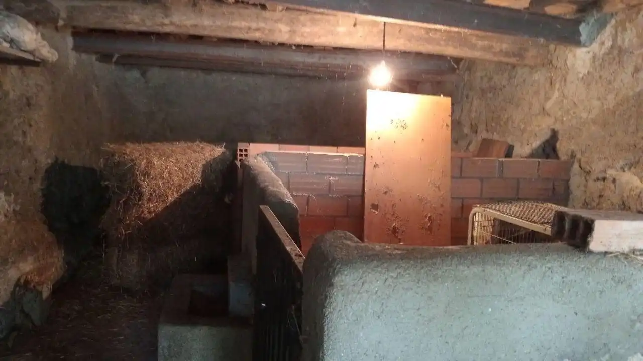 Finca rústica en venda en San Cibrao das Viñas amb Calefacció, Jardí privat i Balcó