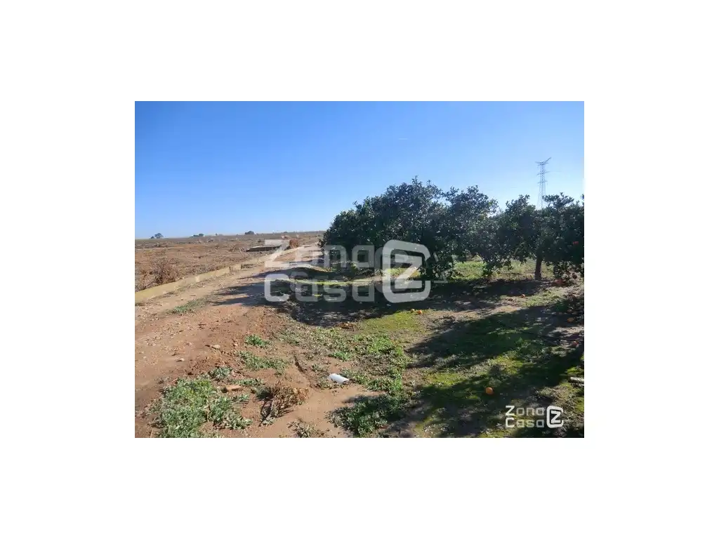 Country house for sale in Algemesí, imagen 2