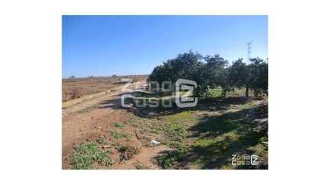 FINCA RUSTICA, imagen 2