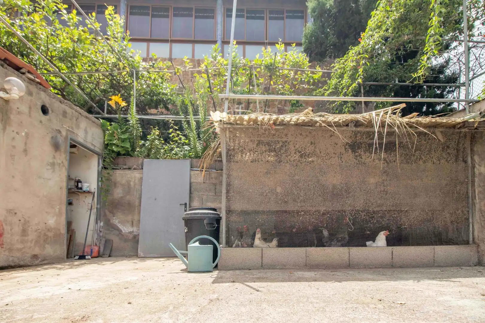 Jardí de Casa o xalet en venda en Icod de los Vinos amb Jardí privat, Terrassa i Traster