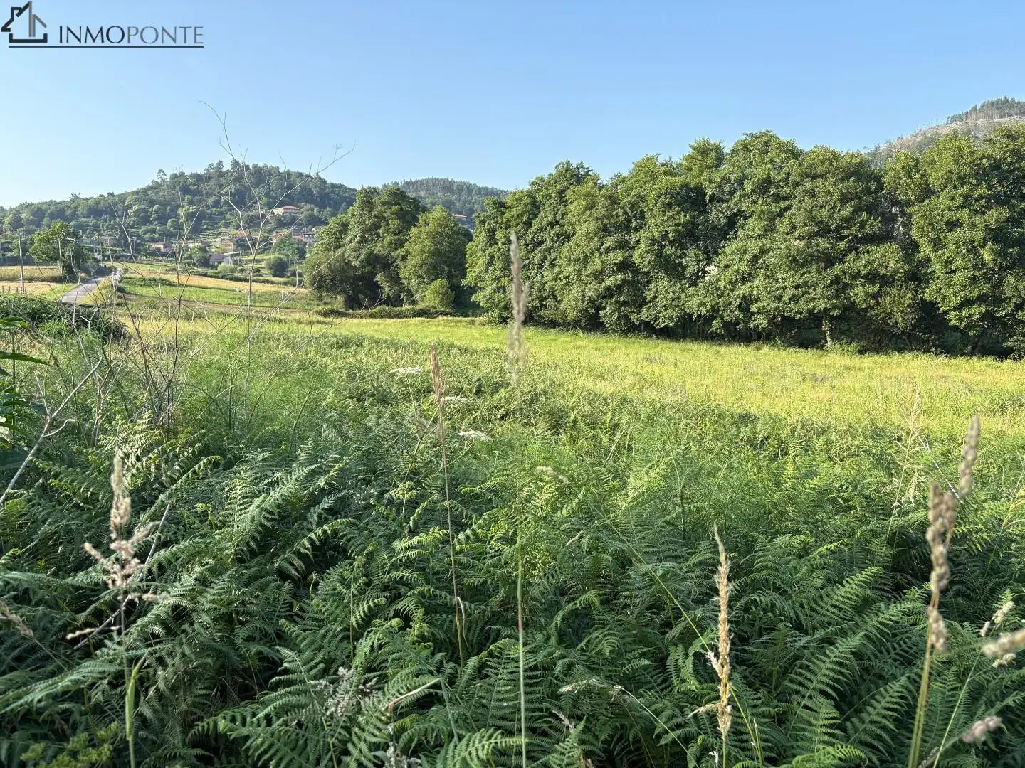 Terrenys i solars en venda a Cotobade