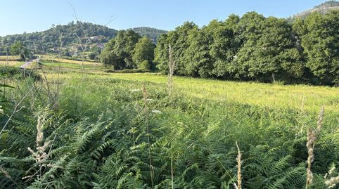 SE VENDE TERRENO RúSTICO EN LUGAR CABAZAL, VIASCóN. Se ofrece en venta un terreno rústico de 1212 m ubicado en Lugar Liñares, a ta