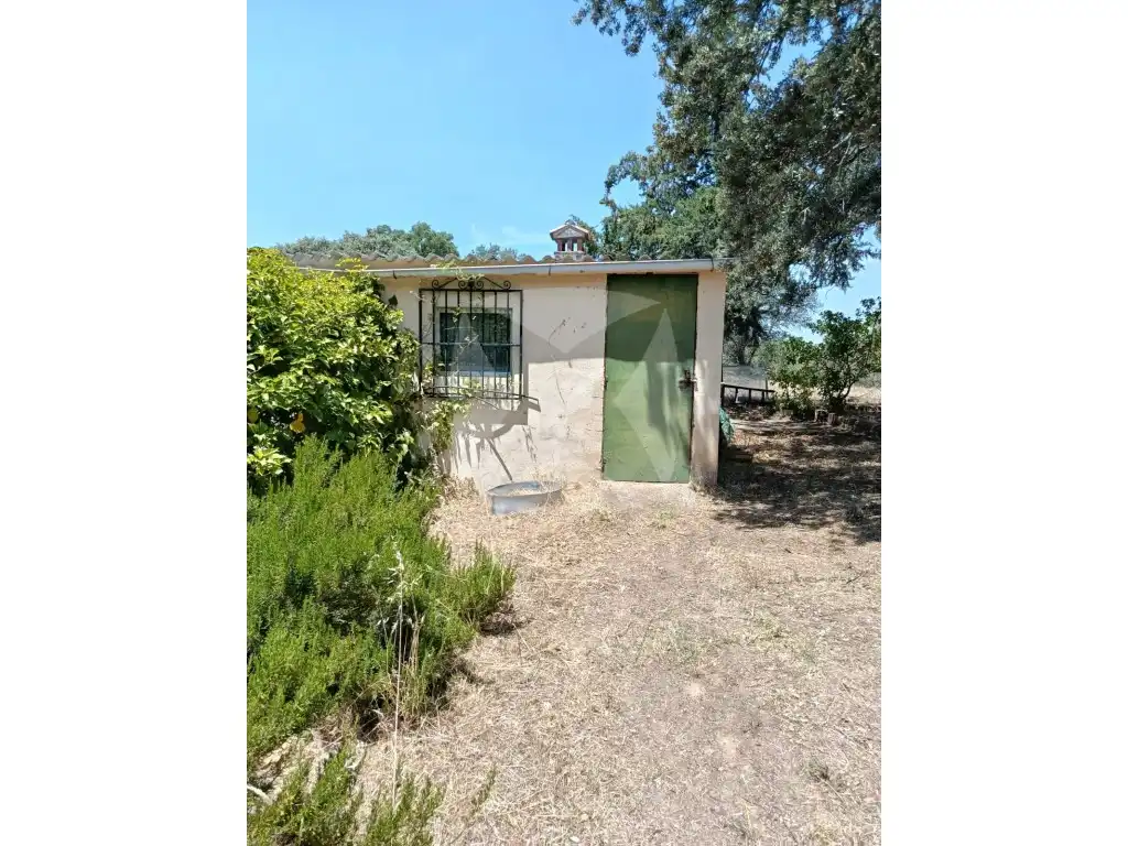 Garten von Residential zum Verkauf in Cáceres