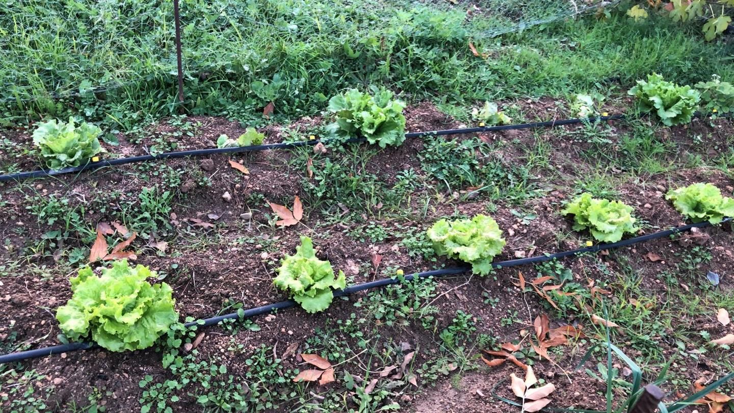 Jardín de Casa o chalet en venta en Villar de Cañas con Calefacción, Jardín privado y Amueblado