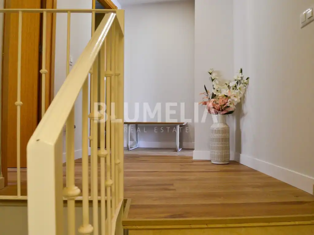 Apartments for rent in Centro Urbano