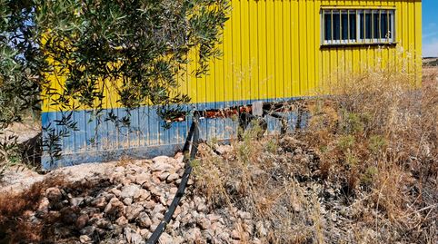 FINCA DE OLIVOS, HUELMA, immagine 5