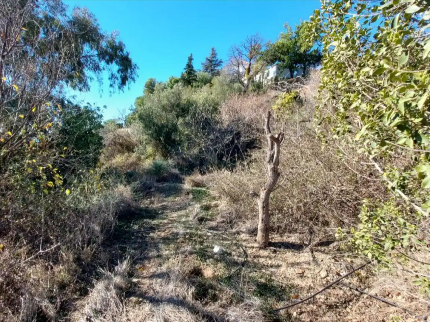 Terreno en venta en Marbella Centro