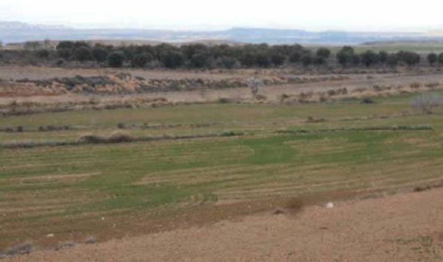 Terreno en Venta en Poligono 25-charosa, S/N en Borja