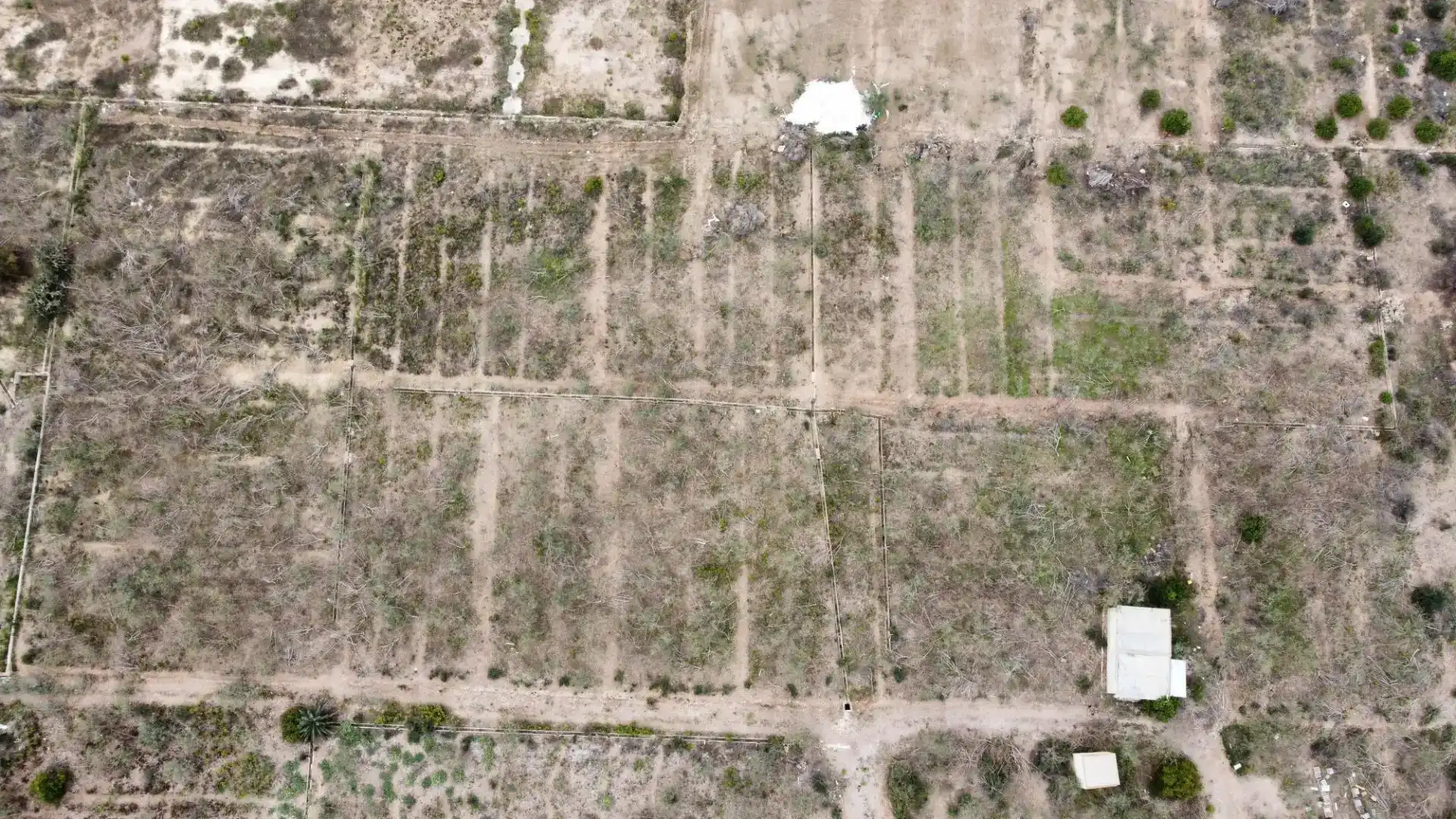 Finca rústica en venda en Murcia