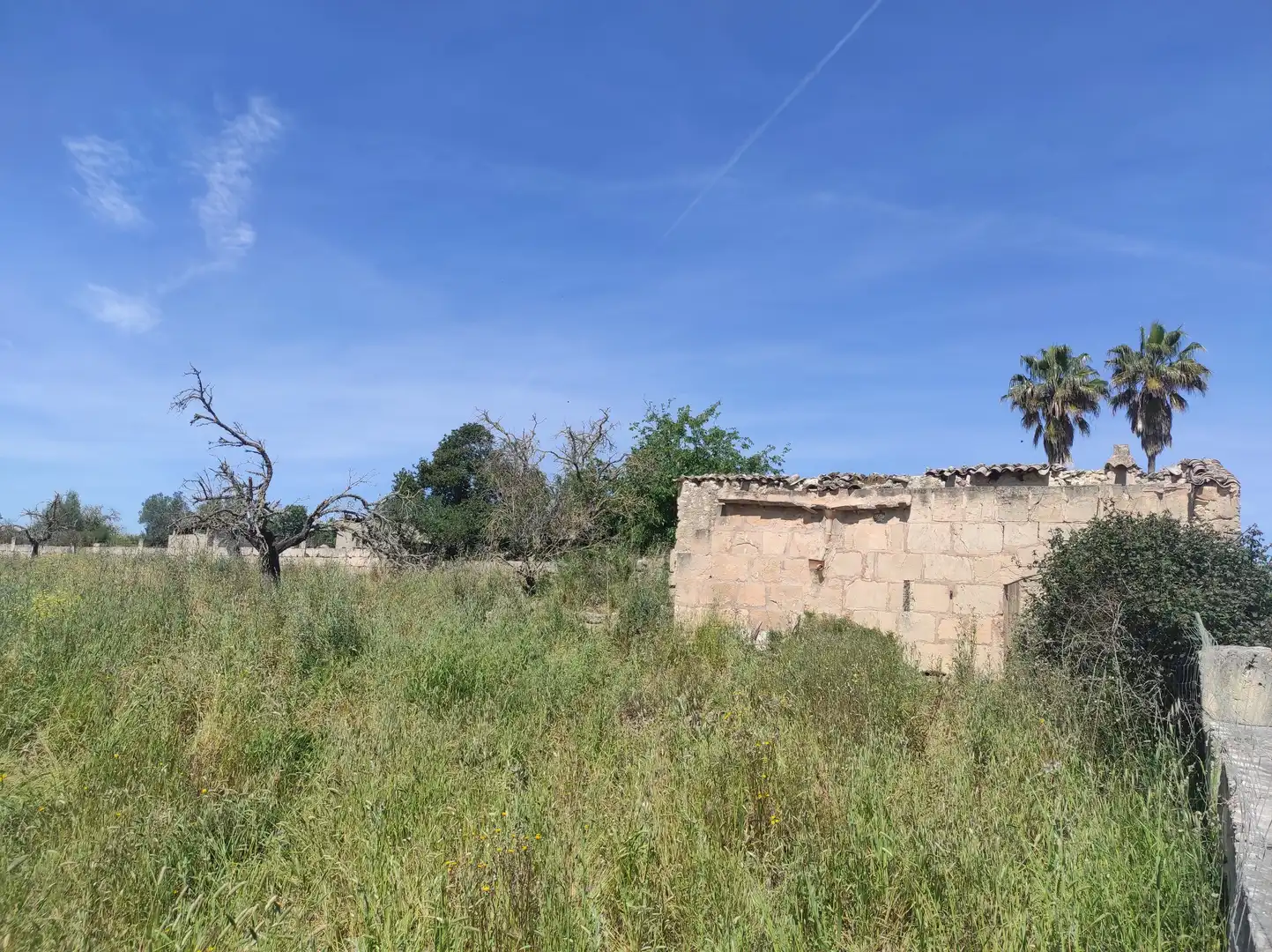 Finca rústica en venta en Sineu