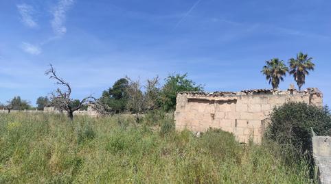 Foto 4 de Finca rústica en venda a N/a, -1, Sineu, Illes Balears