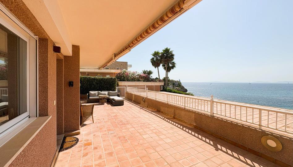 Photo 1 of Apartment to rent in Cala Blava - Bellavista, Illes Balears