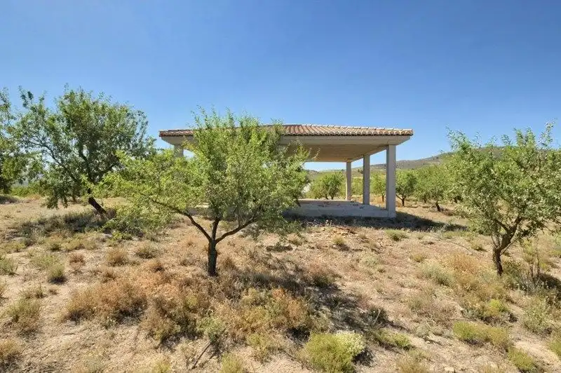 Terreny rústic en venda a Villamena, imagen 42
