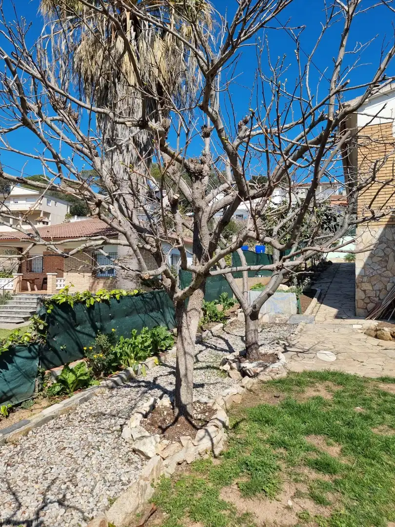 Jardí de Casa o xalet en venda en Lloret de Mar amb Calefacció, Jardí privat i Terrassa