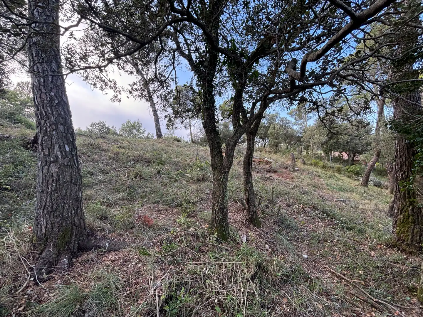 Residential land for sale in Carrer Pasarell, imagen 20