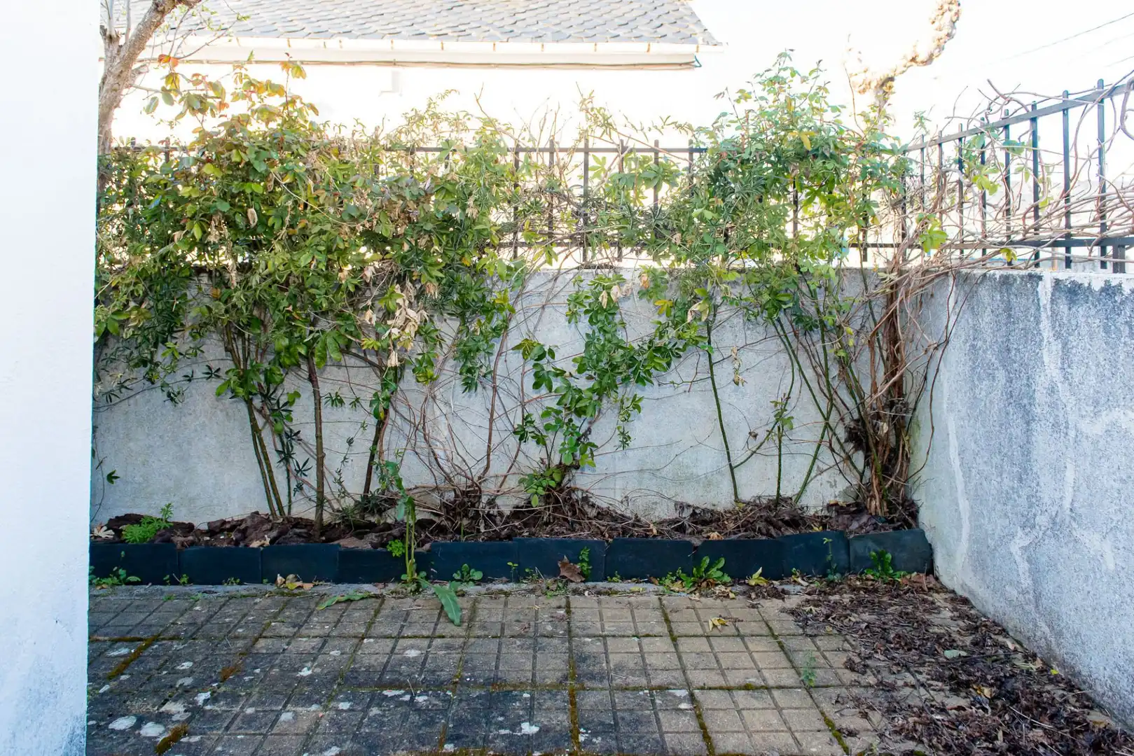 Garden of Houses for sale in Molinaseca  with Private garden and Furnished