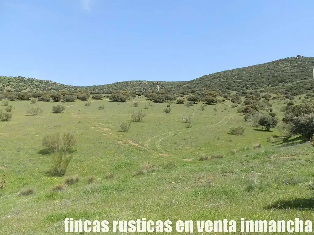 Rural land for sale in Calzada de Calatrava, imagen 5