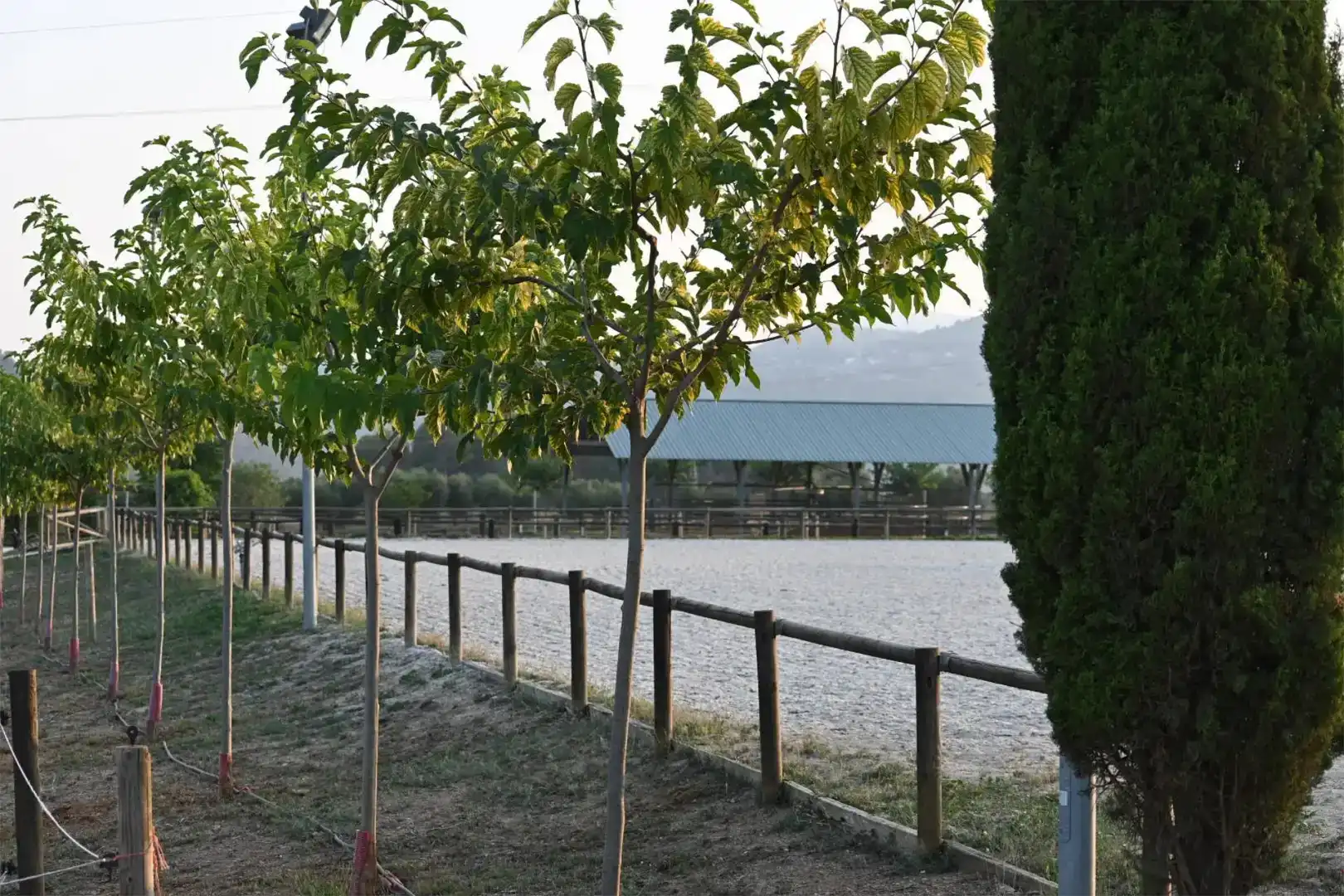 Vista exterior de Finca rústica en venda en Piera amb Aire condicionat i Piscina
