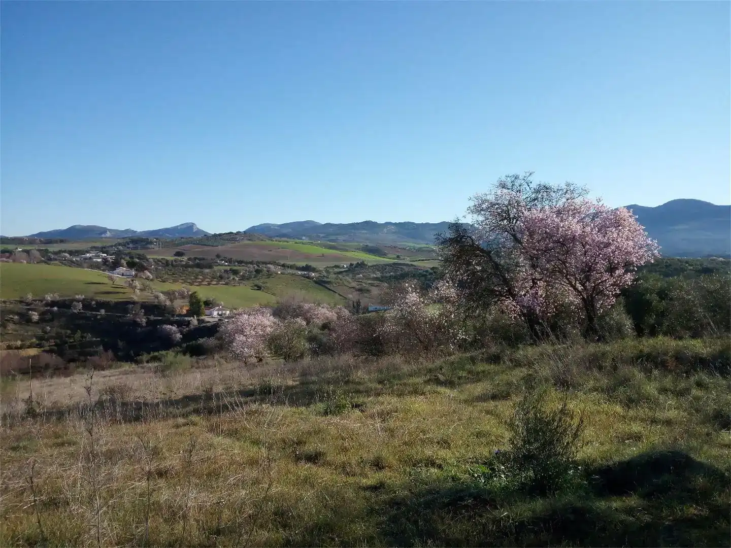Finca rústica en venda en Ronda