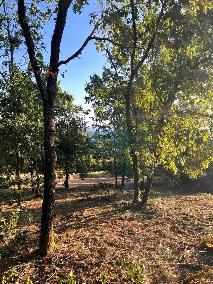 Residencial en venta en Barbadás