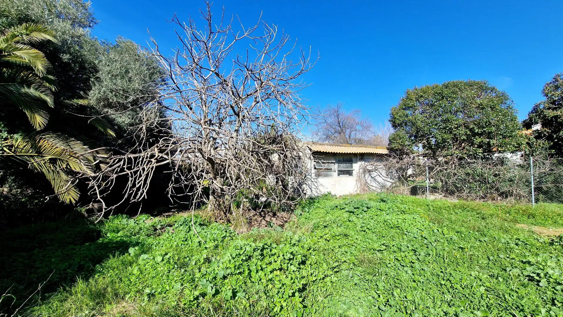 Finca rústica en venta en Valencina de la Concepción