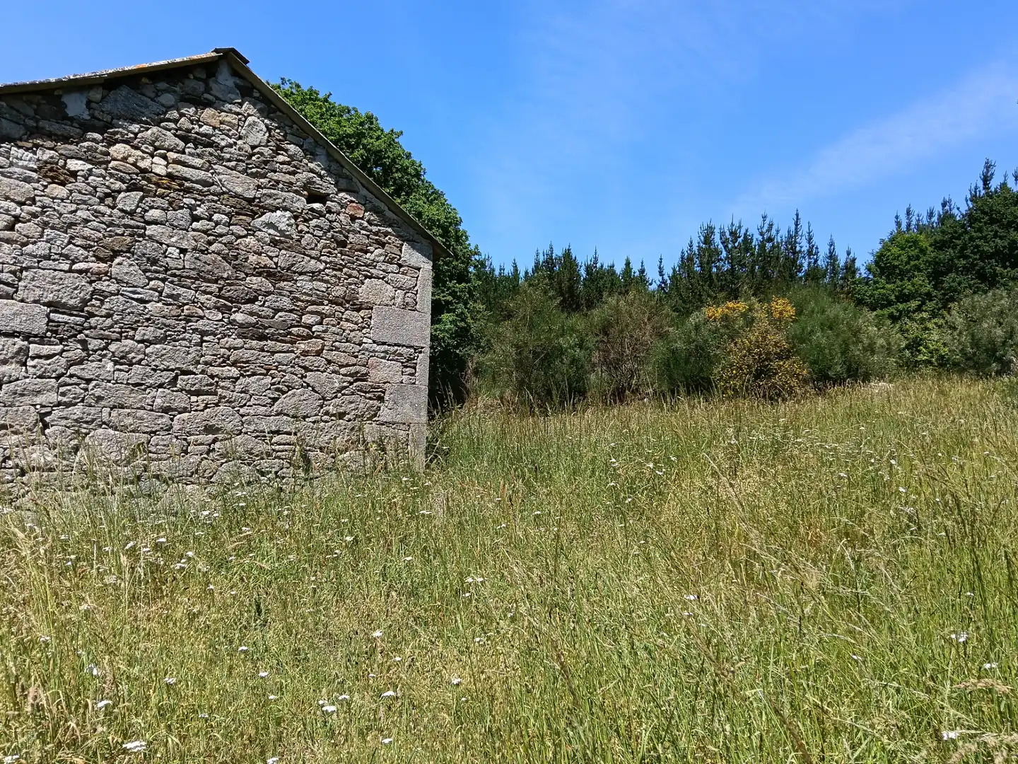 Adossat amb jardí en venda a Guitiriz, imagen 16