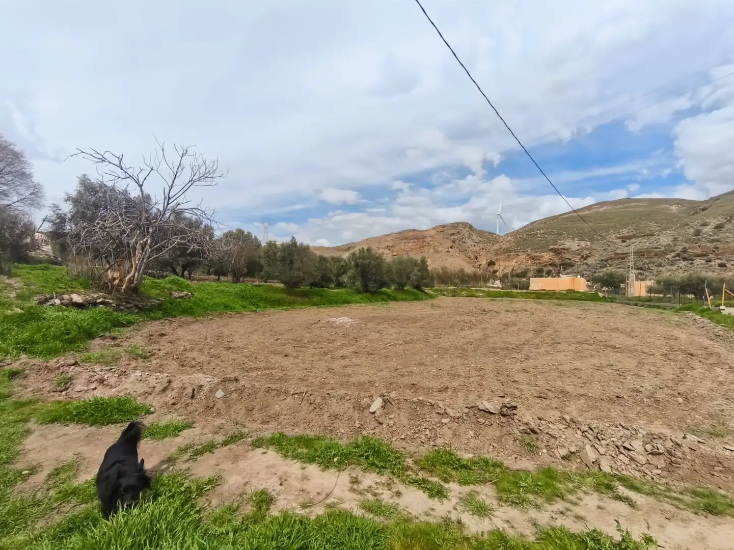 Finca rústica en venda en Abla