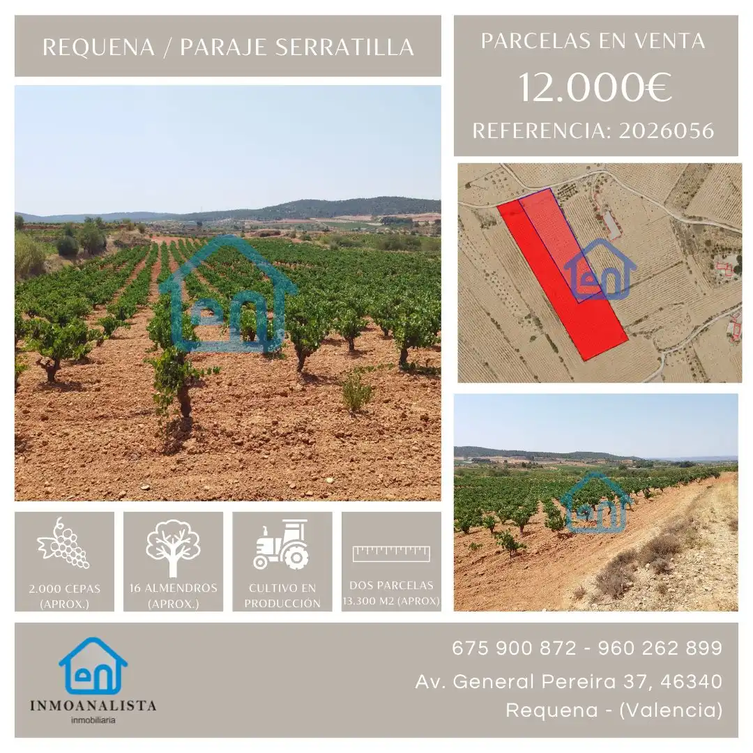 Terreno rustico in vendita a Requena