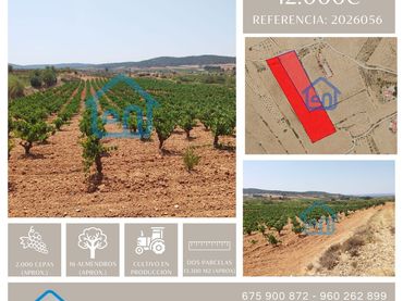 Terrain rustique à vendre à Requena