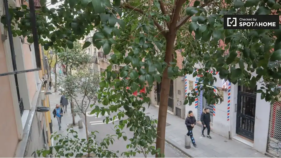 Piso con terraza en alquiler en Centro, imagen 9